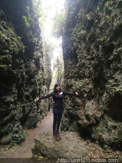 大崗山生態園區 - 第14張圖 大崗山生態園區