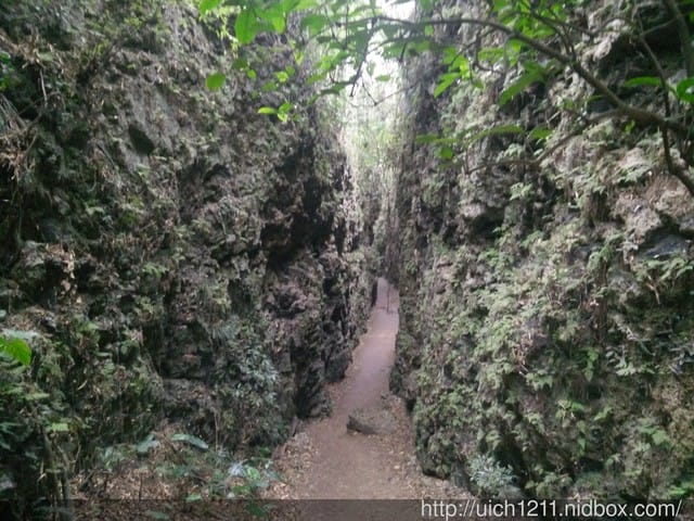 大崗山生態園區 - 第13張圖 大崗山生態園區