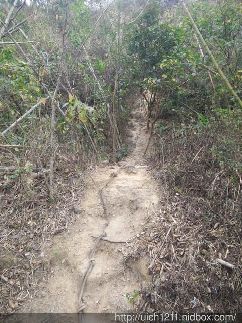 大崗山生態園區 - 第8張圖 大崗山生態園區