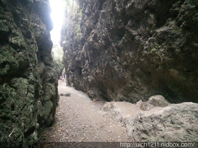 大崗山生態園區 - 第17張圖 大崗山生態園區
