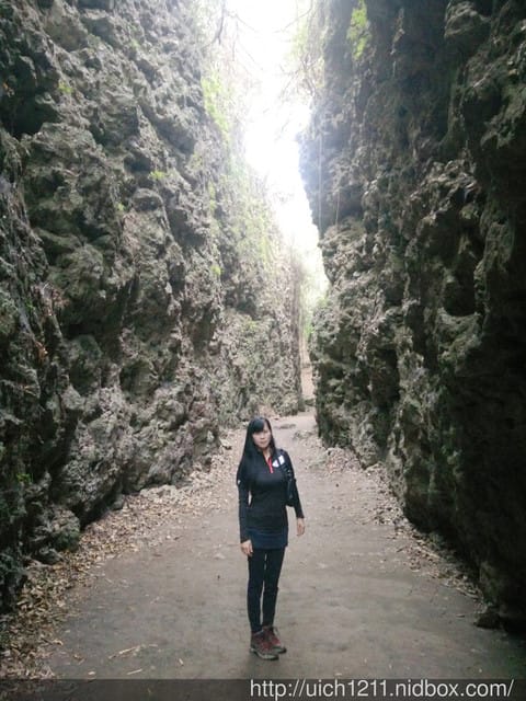 大崗山生態園區 - 第18張圖 大崗山生態園區