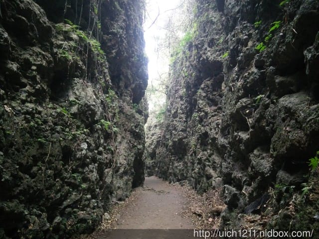 大崗山生態園區 - 第15張圖 大崗山生態園區