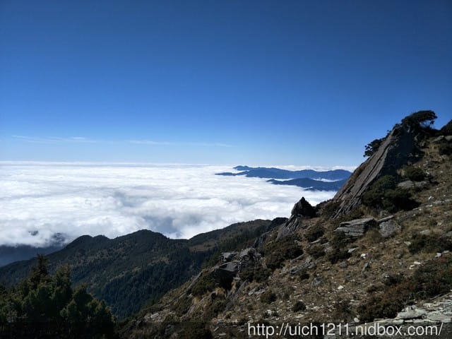向陽國家森林步道 - 第8張圖 向陽國家森林步道