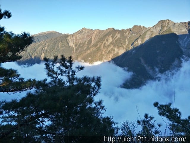 向陽國家森林步道 - 第4張圖 向陽國家森林步道