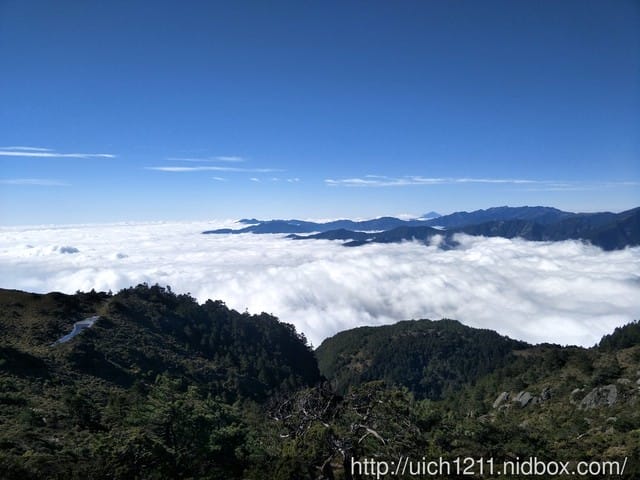 向陽國家森林步道 - 第6張圖 向陽國家森林步道