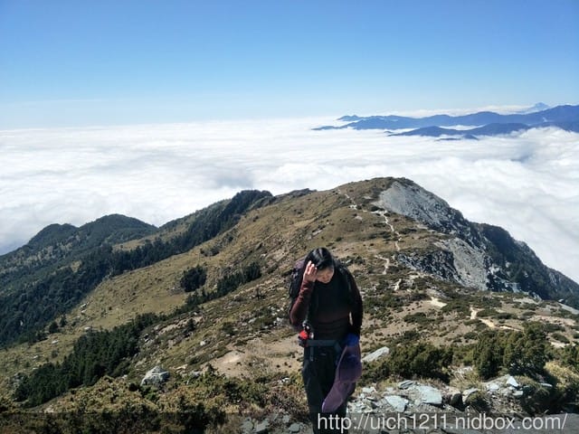 向陽國家森林步道 - 第10張圖 向陽國家森林步道