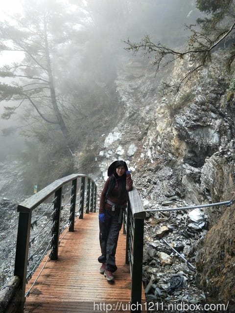 向陽國家森林步道 - 第3張圖 向陽國家森林步道