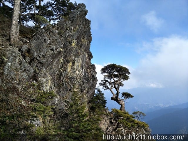池有山 - 第16張圖 池有山