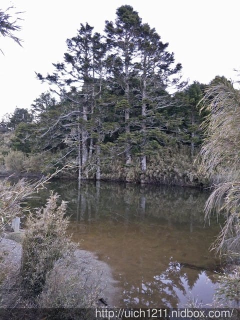 池有山 - 第20張圖 池有山