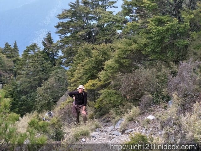 池有山 - 第15張圖 池有山