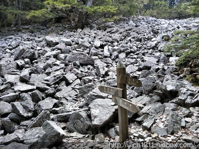 池有山 - 第12張圖 池有山