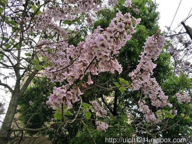 合肥包公園 - 第24張圖 合肥包公園