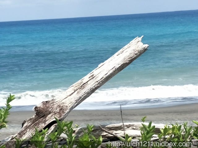 阿朗壹古道 - 第11張圖 阿朗壹古道