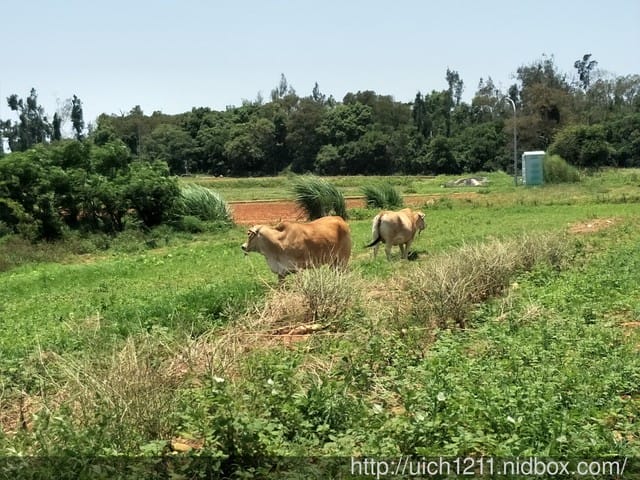 慈湖三角堡 - 第20張圖 慈湖三角堡