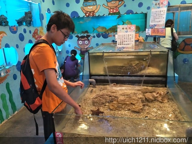 柴魚館與黑面鴨