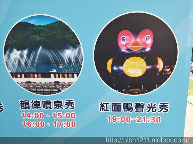 柴魚館與黑面鴨