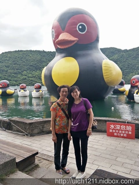 柴魚館與黑面鴨
