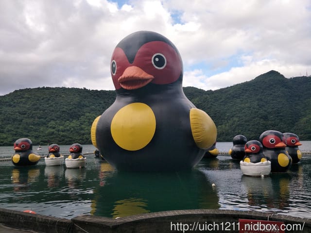 柴魚館與黑面鴨