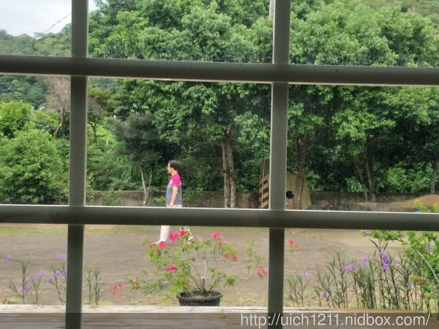 台東遊 - 第18張圖 台東遊