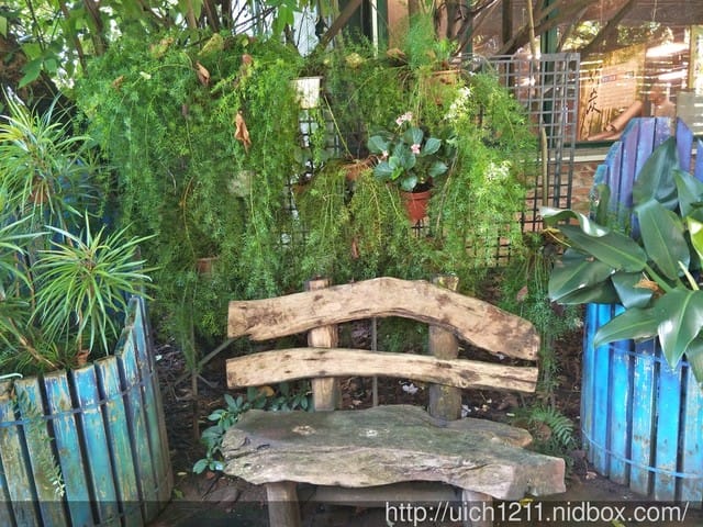 花露農場 - 第6張圖 花露農場