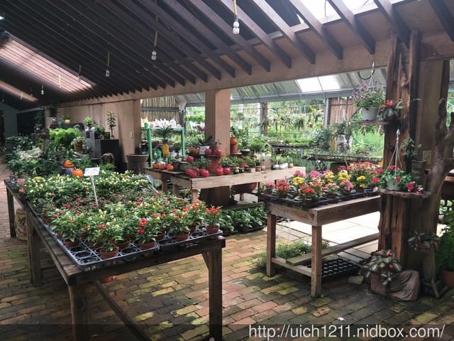 花露農場 - 第28張圖 花露農場