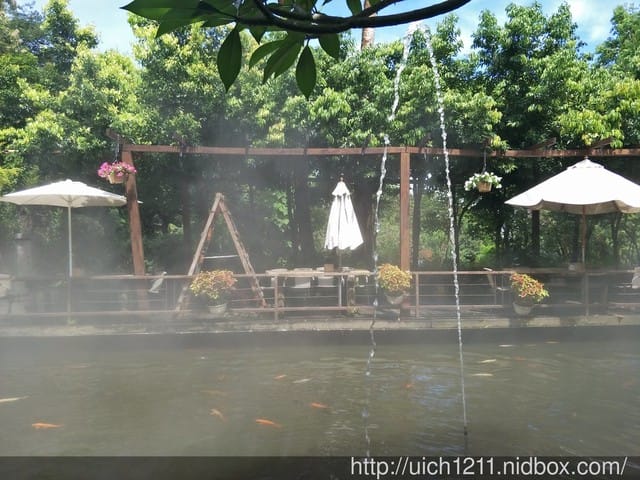 花露農場 - 第15張圖 花露農場