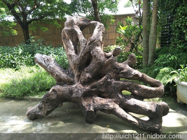 花露農場 - 第21張圖 花露農場