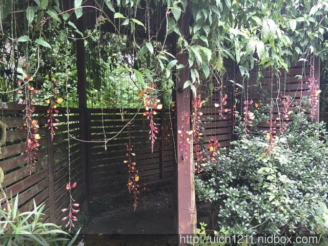 花露農場 - 第30張圖 花露農場