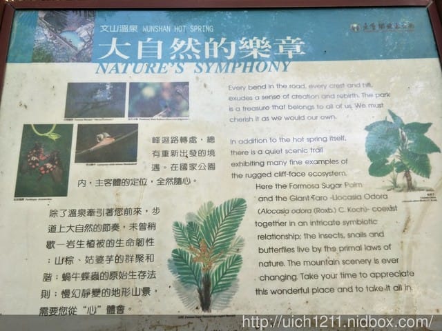 中橫之文山溫泉 - 第16張圖 中橫之文山溫泉