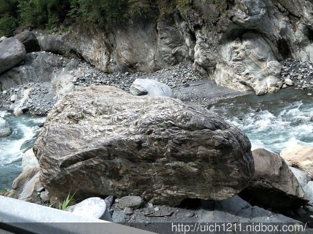 白楊步道與岳王亭 - 第22張圖 白楊步道與岳王亭