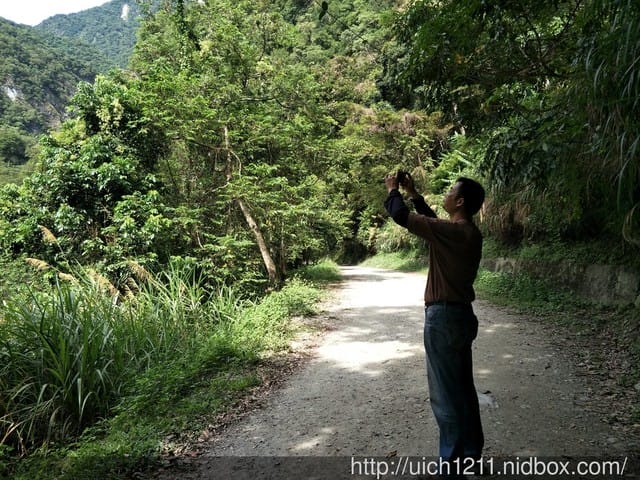 白楊步道與岳王亭 - 第14張圖 白楊步道與岳王亭