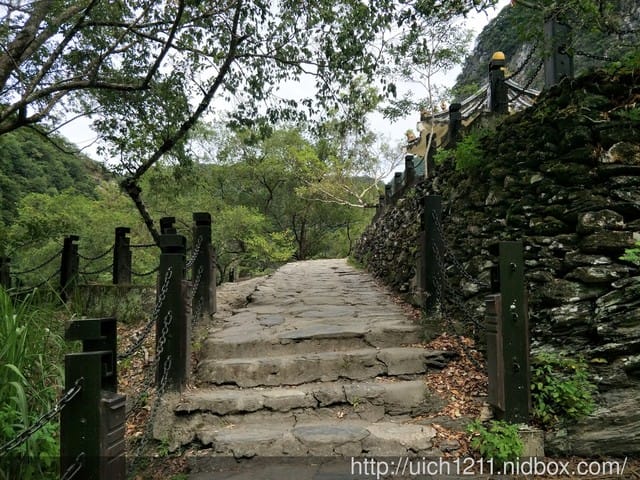 白楊步道與岳王亭 - 第32張圖 白楊步道與岳王亭