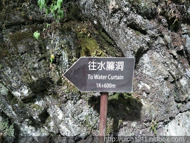 白楊步道與岳王亭 - 第11張圖 白楊步道與岳王亭