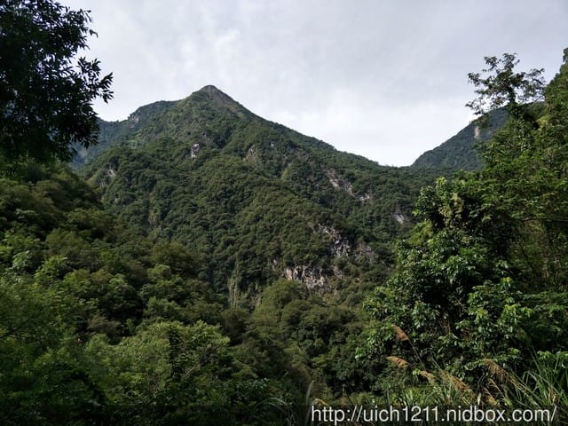 白楊步道與岳王亭 - 第15張圖 白楊步道與岳王亭