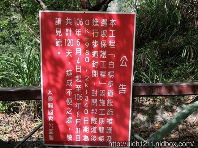 白楊步道與岳王亭 - 第17張圖 白楊步道與岳王亭