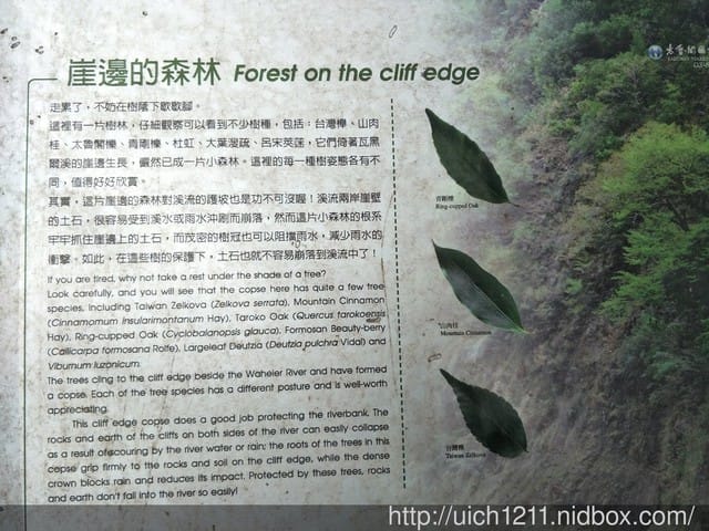 白楊步道與岳王亭 - 第13張圖 白楊步道與岳王亭