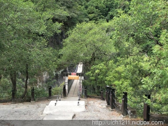 白楊步道與岳王亭 - 第34張圖 白楊步道與岳王亭