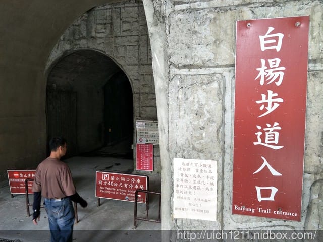 白楊步道與岳王亭 - 第1張圖 白楊步道與岳王亭