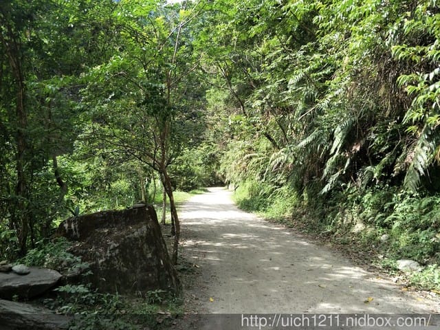 白楊步道與岳王亭 - 第12張圖 白楊步道與岳王亭