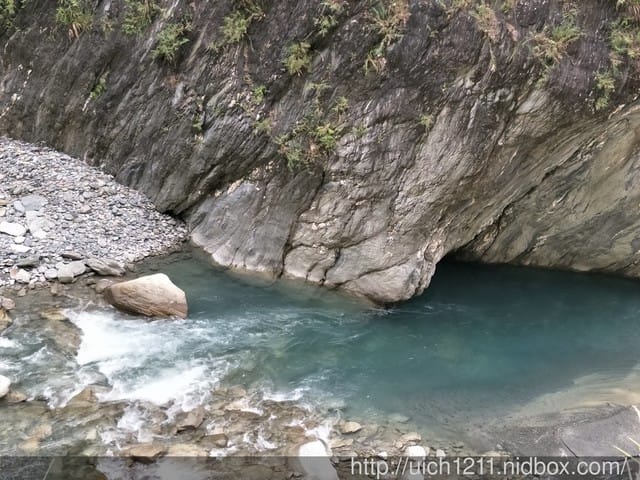 白楊步道與岳王亭 - 第10張圖 白楊步道與岳王亭