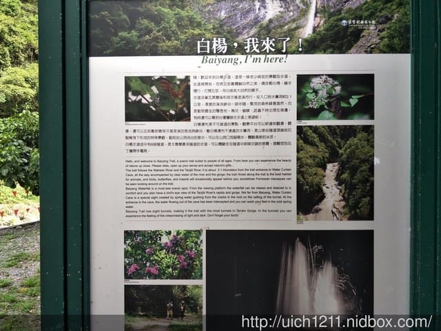 白楊步道與岳王亭 - 第4張圖 白楊步道與岳王亭