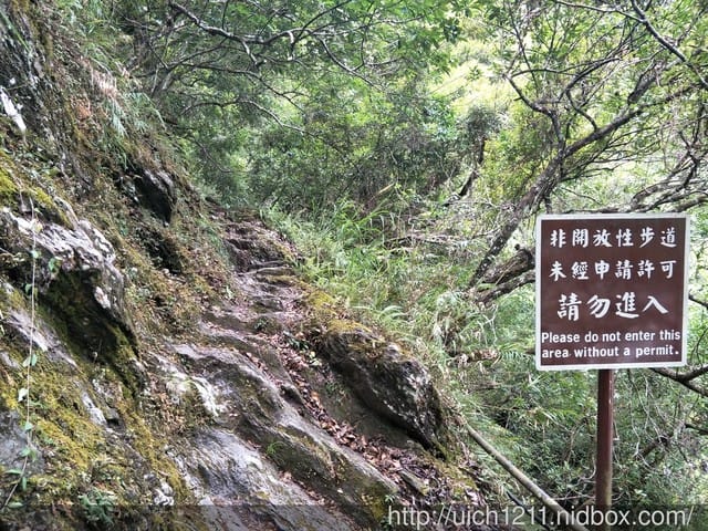 白楊步道與岳王亭 - 第35張圖 白楊步道與岳王亭