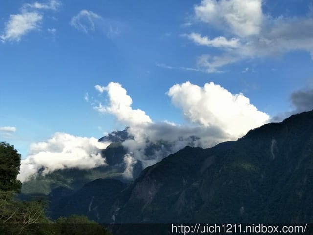 白楊步道與岳王亭 - 第25張圖 白楊步道與岳王亭
