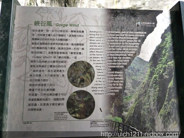 九曲洞與布洛灣 - 第15張圖 九曲洞與布洛灣