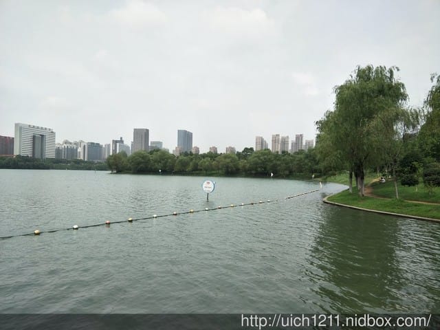 合肥天鵝湖
