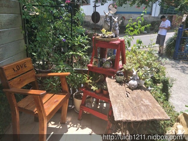 It’s ALICE CAFE&FOOD