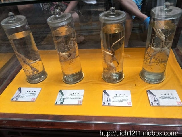 明清河舫街