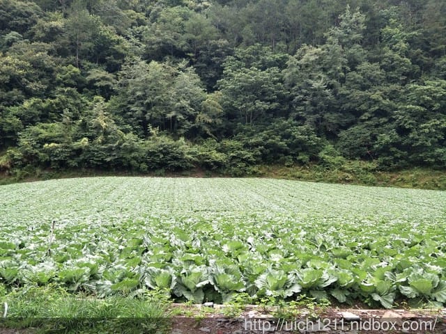 志佳陽山 - 第2張圖 志佳陽山