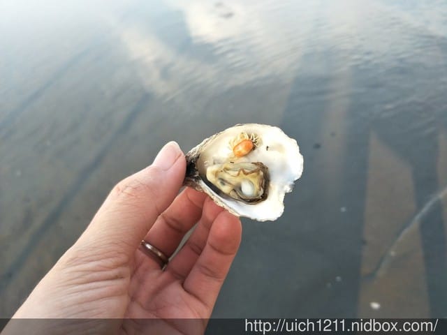 王功漁港 - 第20張圖 王功漁港