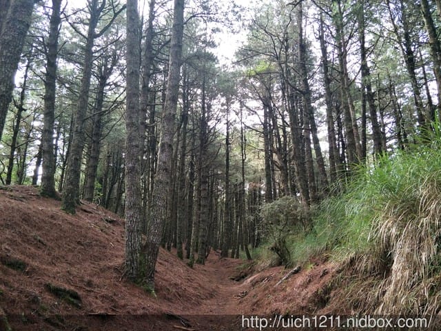 南湖群峰1 - 第9張圖 南湖群峰1